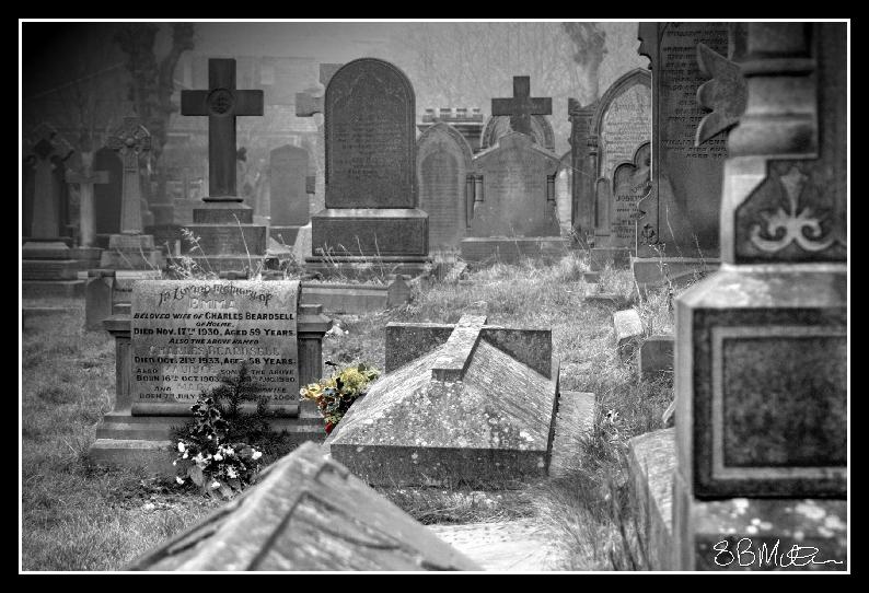 Flowers for a Lost Love: Photograph by Steve Milner Flowers for a Lost Love: Photograph by Steve Milner